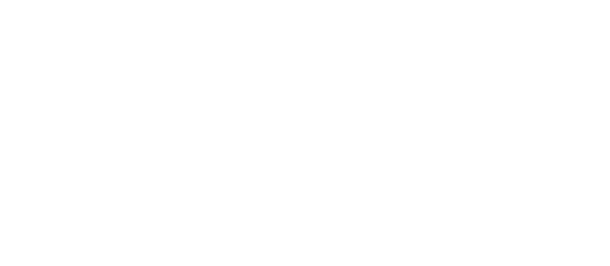 Electric Escape Web Design
